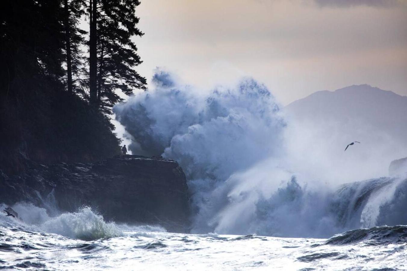 The Great Escape - Port Renfrew Villa Ngoại thất bức ảnh