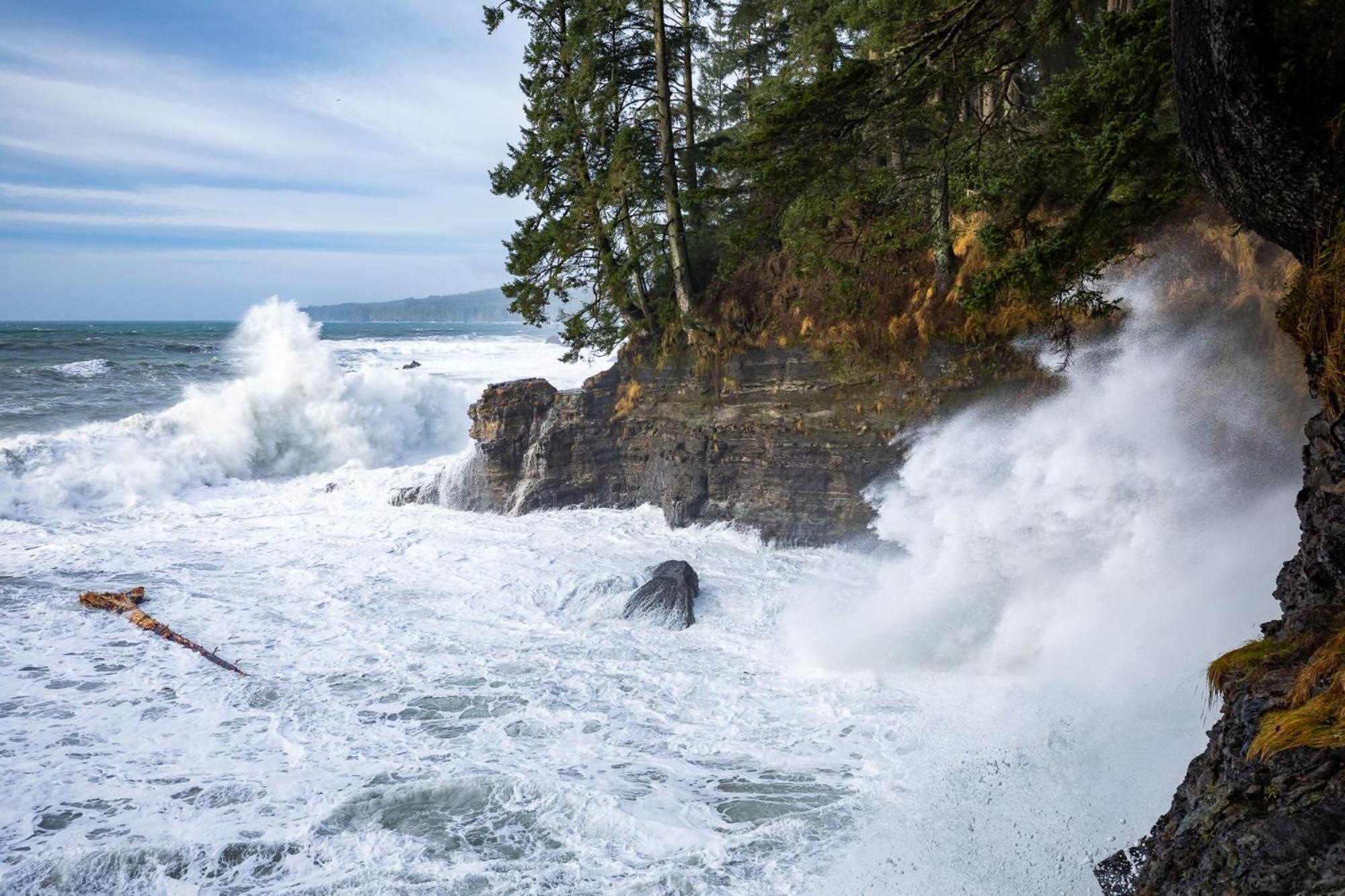 The Great Escape - Port Renfrew Villa Ngoại thất bức ảnh